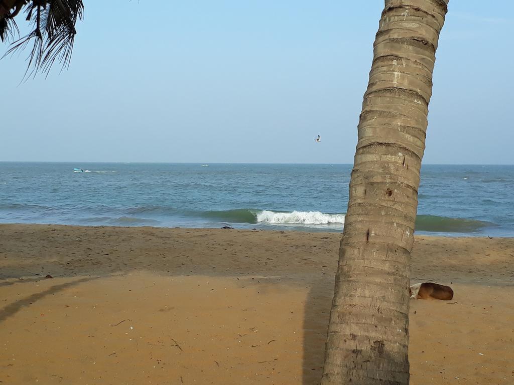 Anicia Beach House Negombo Exteriör bild
